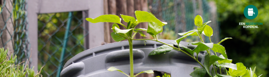 regenton met geïntegreerde plantenbak